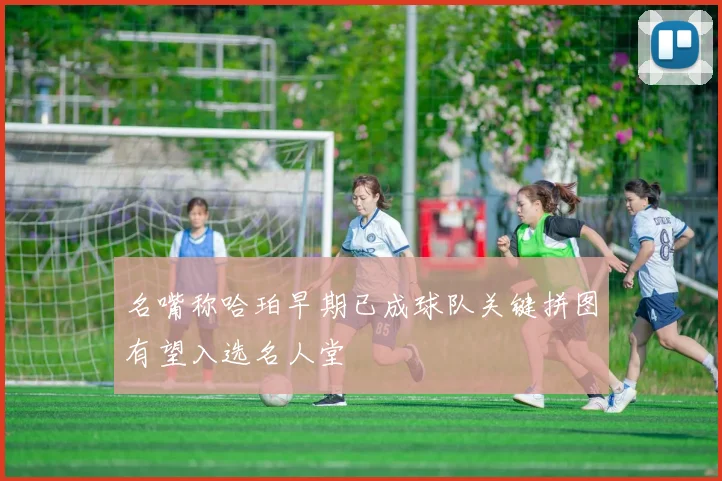 名嘴称哈珀早期已成球队关键拼图有望入选名人堂