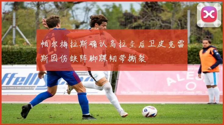 帕尔梅拉斯确认乌拉圭后卫皮克雷斯因伤缺阵脚踝韧带撕裂